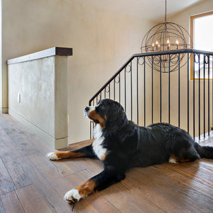 Example of a mid-sized southwest wooden floating metal railing staircase design in Denver with painted risers
