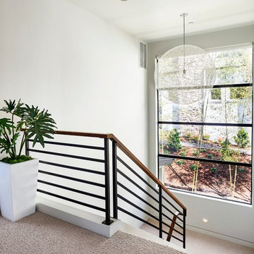 Sandhill Crane - Stairwell