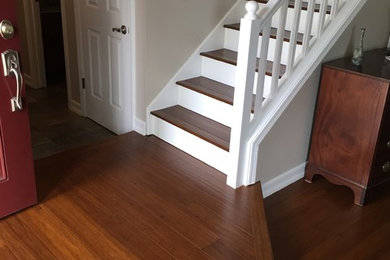 Example of a mid-sized trendy wooden straight staircase design in San Francisco with painted risers