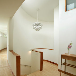 Idee per una scala curva moderna di medie dimensioni con pedata in legno e parapetto in metallo