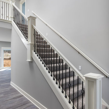 Silver Maple - Stairway