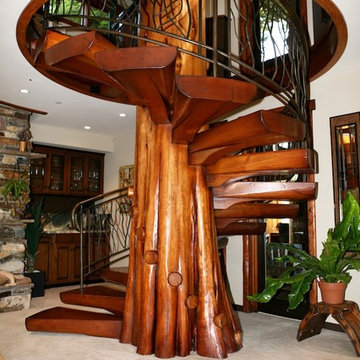 Spiral Staircase from Fallen Cedar Tree