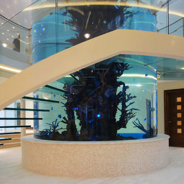 Staircase surrounding fish tank