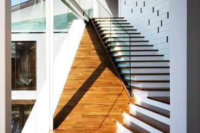 Foto de escalera curva minimalista grande con escalones de madera, contrahuellas de madera pintada y barandilla de vidrio