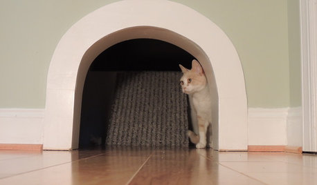 Take Your Pick From 15 Places to Hide the Kitty Litter Box