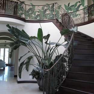 Ispirazione per una grande scala curva tropicale con pedata in legno e alzata in legno
