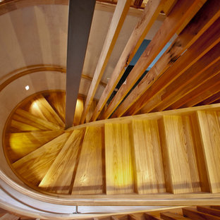 Example of a large trendy wooden curved wood railing staircase design in Auckland with wooden risers