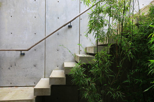 Contemporary Staircase by Paul Sangha Landscape Architecture