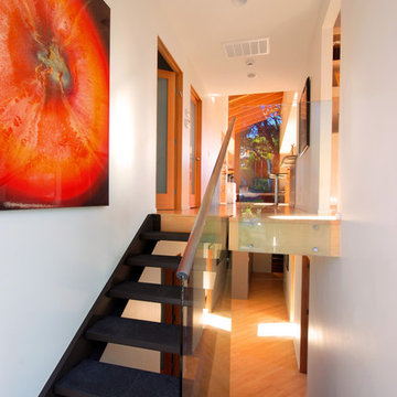 Vinograd Residence