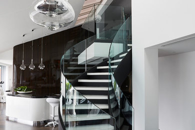 Cette photo montre un escalier courbe moderne en marbre de taille moyenne avec des contremarches en métal et un garde-corps en verre.