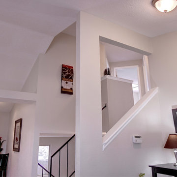 White Staging Photography in Denver March 1st 2014
