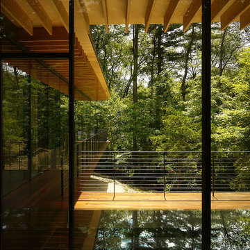 Wood and Glass House