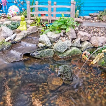 Add pond and pool to home