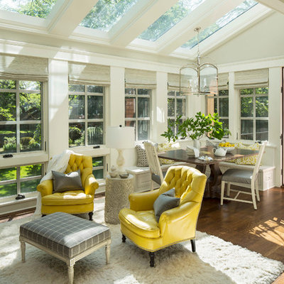 Transitional medium tone wood floor and brown floor sunroom photo in Minneapolis with a glass ceiling