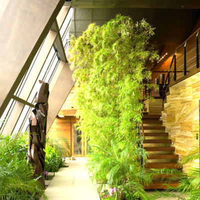Inspiration for a large modern dark wood floor sunroom remodel in Manchester with no fireplace and a standard ceiling