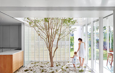 Casas y naturaleza: Los hogares se transforman en jardines