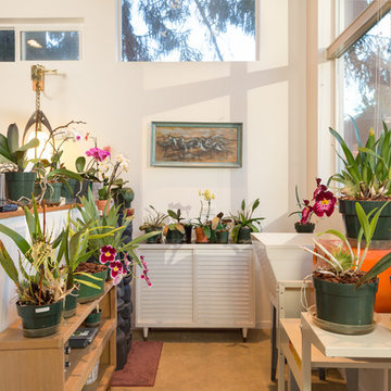 Orchid Studio