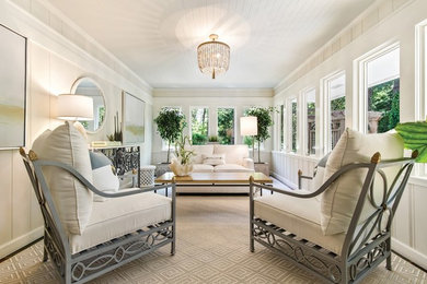 Example of a mid-sized transitional carpeted sunroom design in Other with no fireplace and a standard ceiling