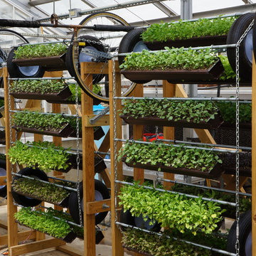 Rotating Living Wall