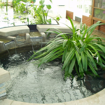 SF Conservatory of Flowers Project
