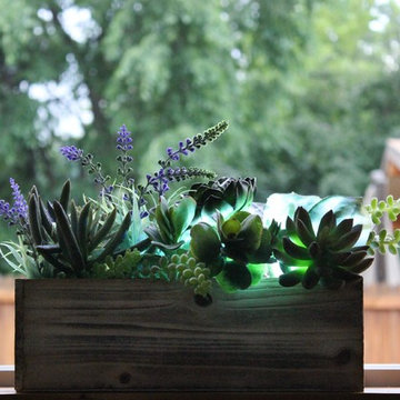 Succulent Garden - Mixed Succulents in White Wash Planter Box