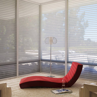 Example of a large minimalist carpeted sunroom design in Denver