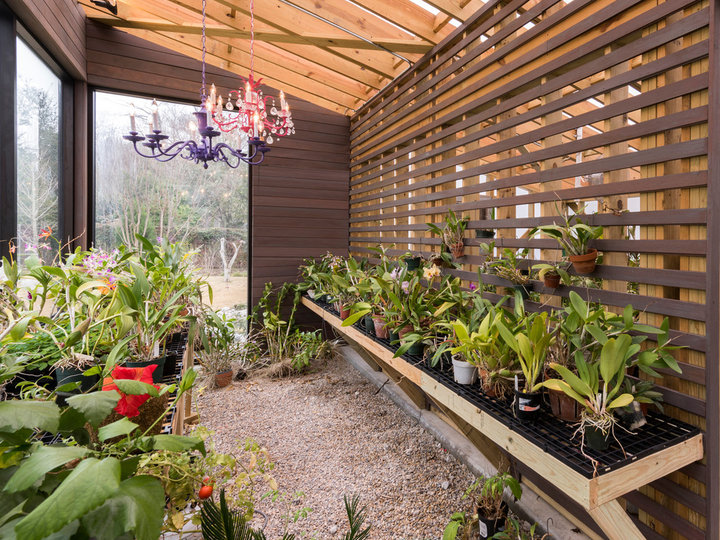 An illustration of a sizable, modern sunroom with a glass ceiling