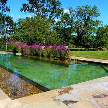 Beautiful stone tiled natural swimming pool