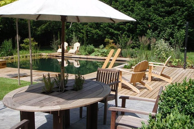 Photo of a medium sized contemporary rectangular natural swimming pool in Other with decking.