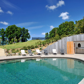 Contemporary Swimming Pool & Hot Tub