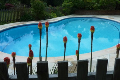 Inspiration for a contemporary swimming pool in Sussex.