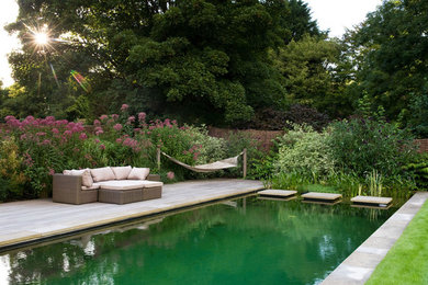 Traditional back rectangular natural swimming pool in Sussex with decking.