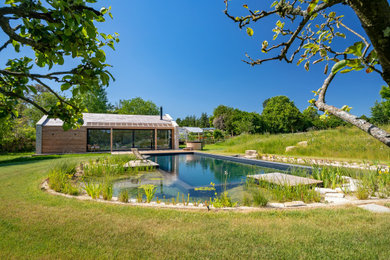 Example of a trendy pool design in Wiltshire