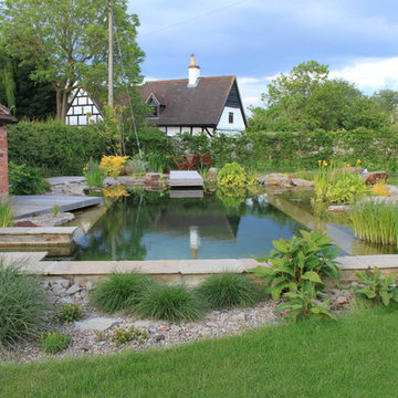 Natural Swimming Pool