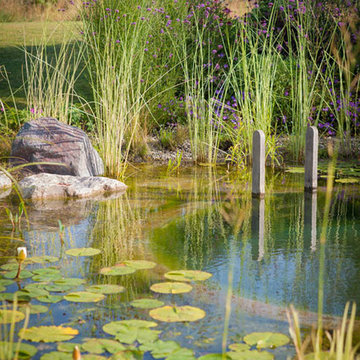 Richard Bloom Photography - The Swimming Pond Company