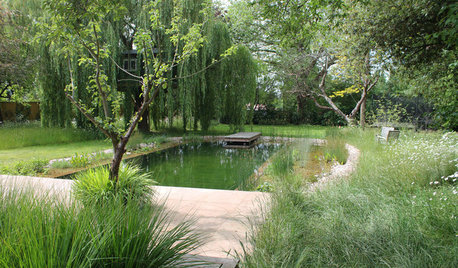 20 Beautiful British Natural Swimming Pools