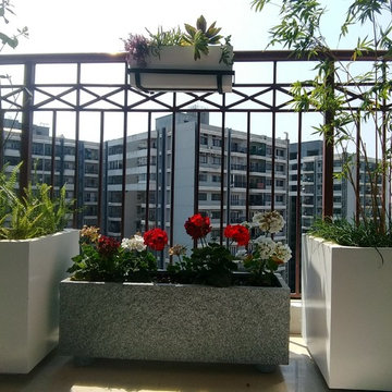 Balcony Garden 1