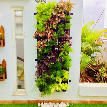 Vertical Garden/Green Walls