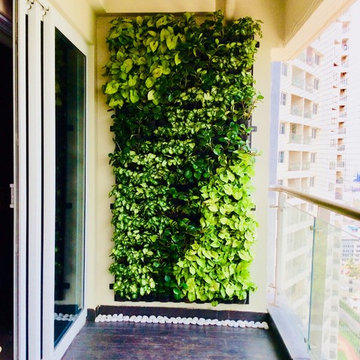 Vertical Garden/Green Walls