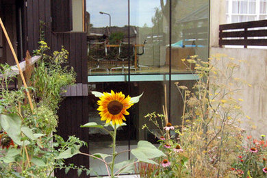 This is an example of a medium sized contemporary terrace in London.