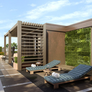 Immagine di una piccola terrazza design sul tetto con nessuna copertura