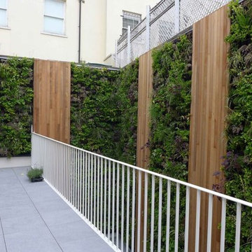 Domestic Living Wall Projects