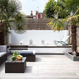 Foto di una terrazza contemporanea di medie dimensioni e dietro casa con un giardino in vaso