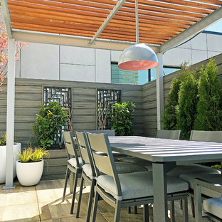 Foto di una terrazza minimal sul tetto e sul tetto con un giardino in vaso e una pergola