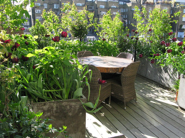 Contemporary Terrace by The London Gardener Ltd