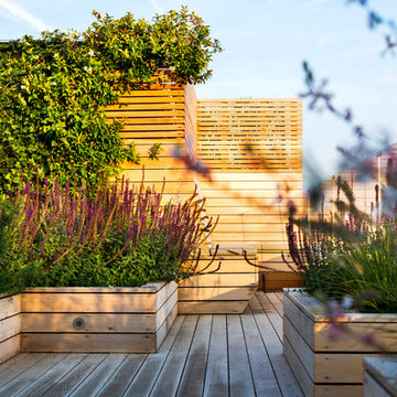 Large roof terrace in London