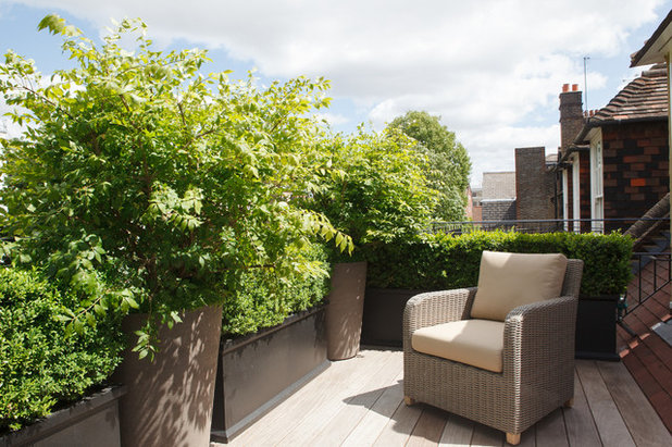Contemporary Terrace by Randle Siddeley