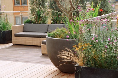 Design ideas for a large contemporary roof terrace in London with a potted garden and a pergola.