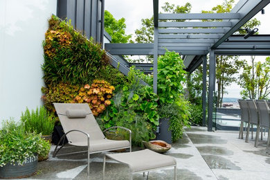 Photo of a contemporary roof terrace in London.