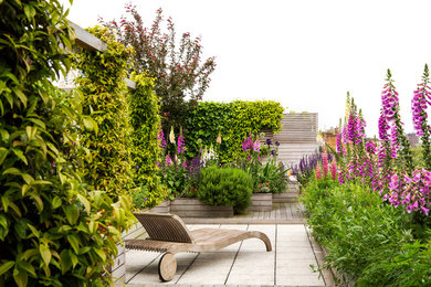 Contemporary terrace in London.